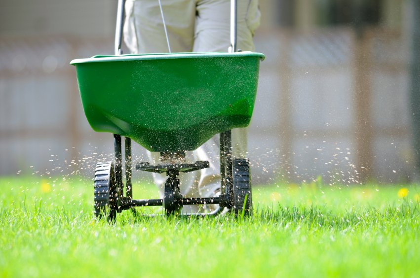 Photo of Liban's Landscaping