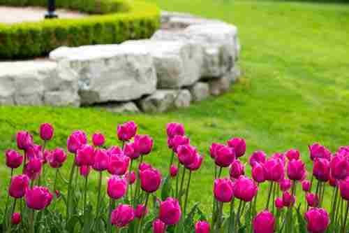 Photo of Vista Landscapes