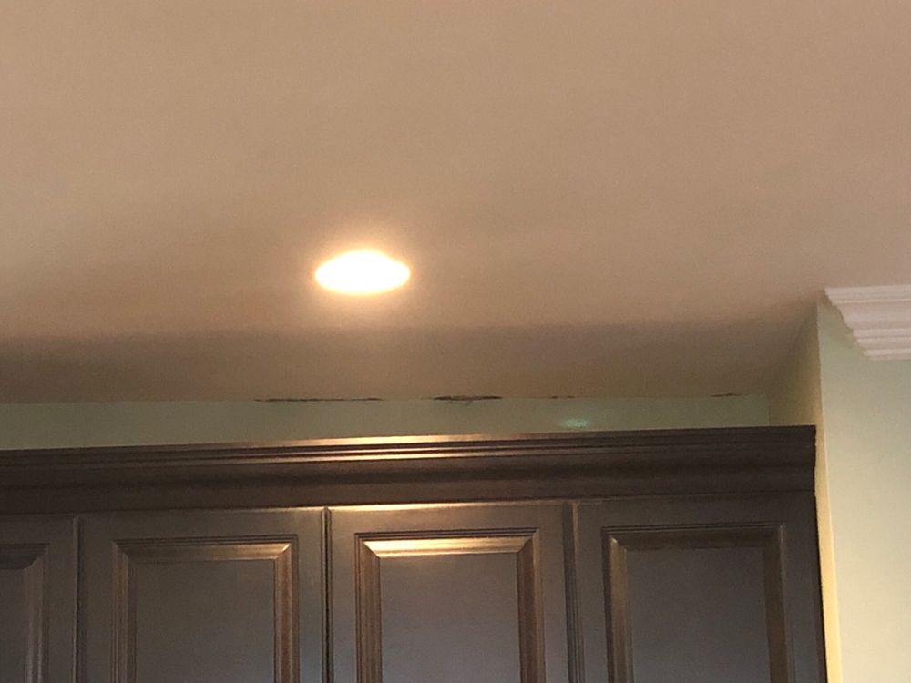 Photo of The Mold Guys NJ