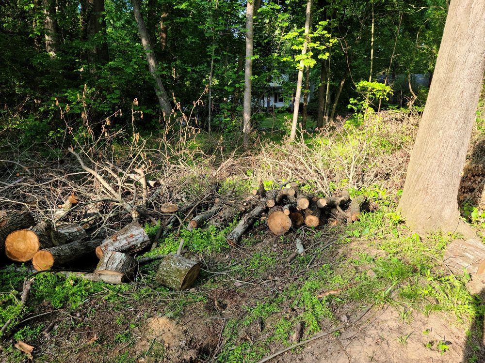 Photo of D&R Landscaping and Tree Service