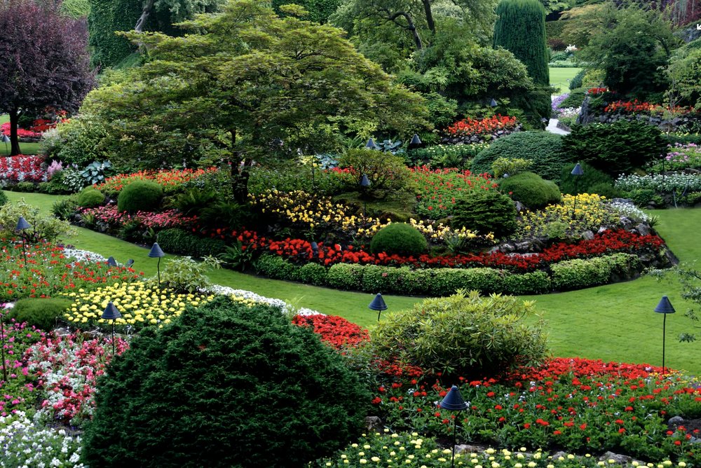 Photo of A & R Tree Service and Landscaping