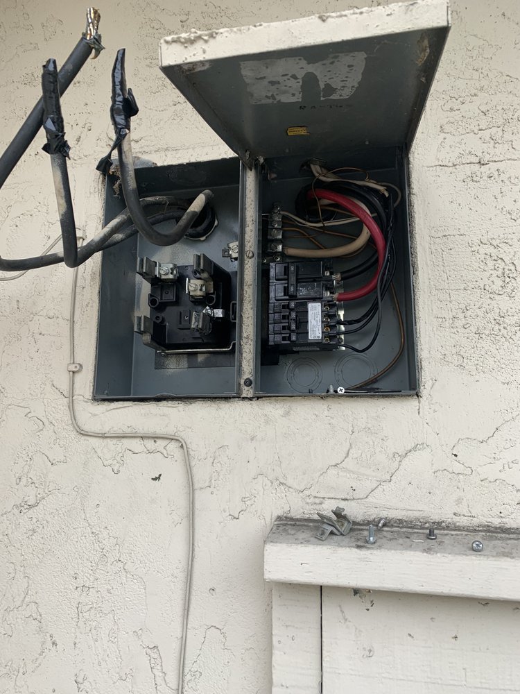 Photo of Penguin Electric
