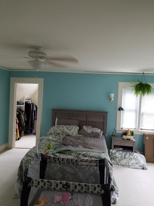 Photo of Tri-Color Plaster