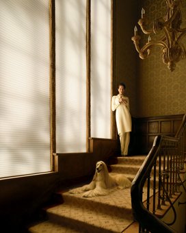 Photo of Window Wares