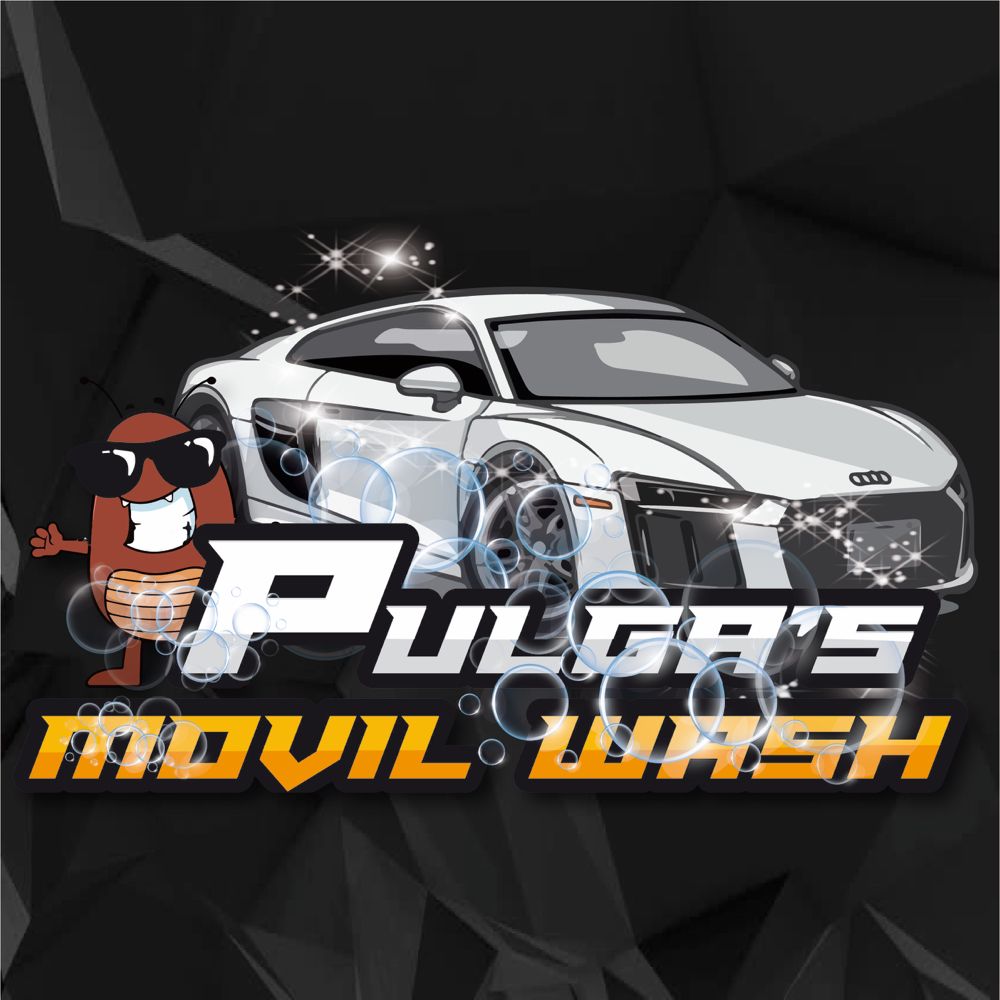 Photo of Pulga's Movil Wash