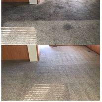 Photo of Ultra Fresh PureChem Carpet Care
