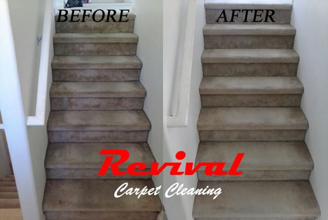 Photo of Revival Carpet Cleaning