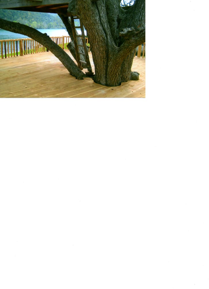 Photo of SLC Deck & Fence L.L.C.