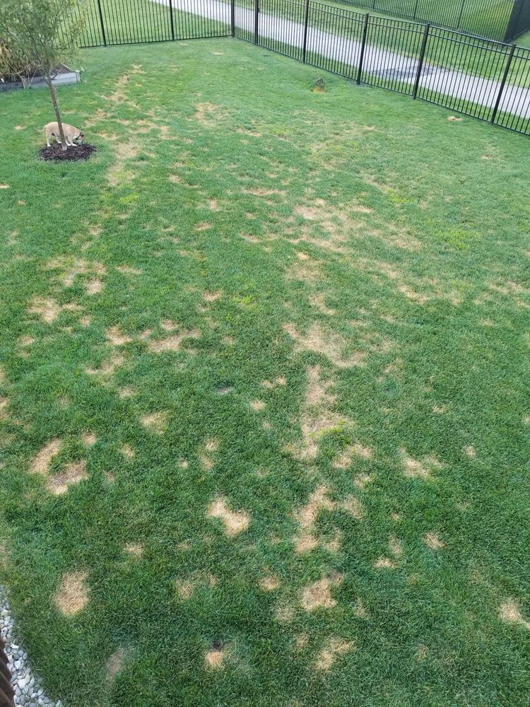 Photo of Total Lawn Care