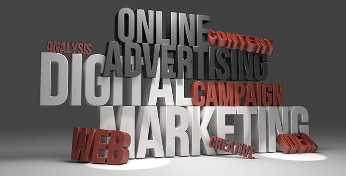 Photo of Web Fox Marketing