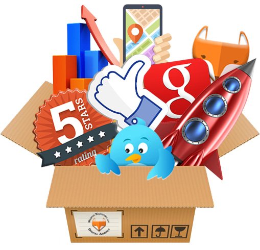 Photo of Web Fox Marketing