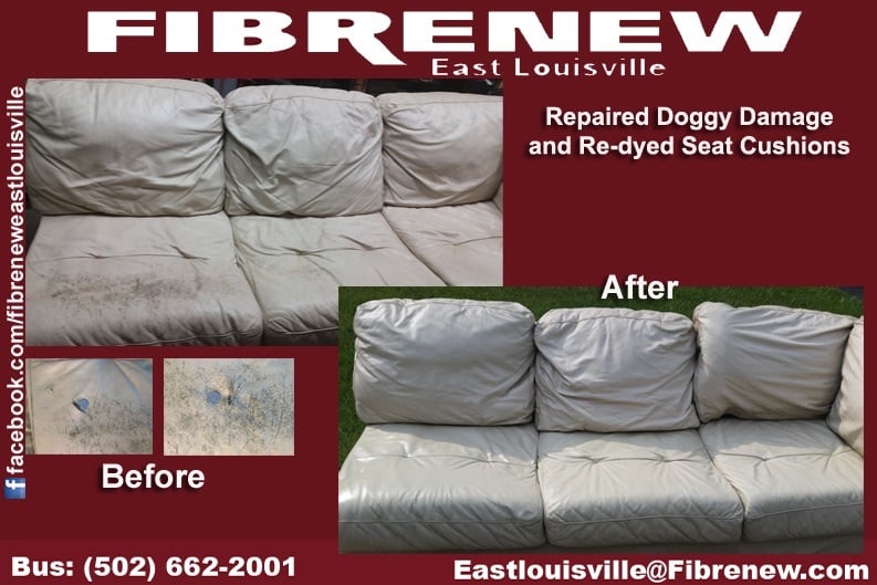 Photo of Fibrenew