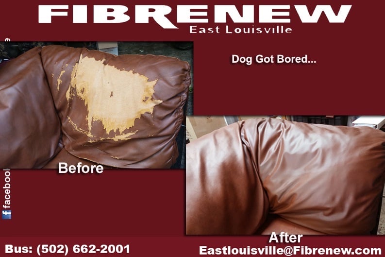 Photo of Fibrenew