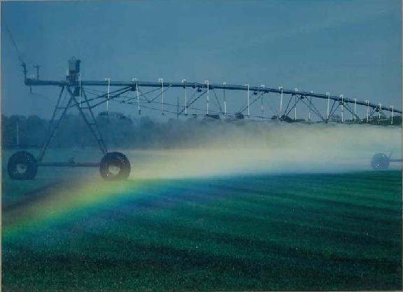 Photo of Novasack Turf Farms