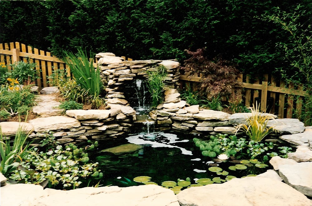 Photo of Hemphill's Pond & Garden Center