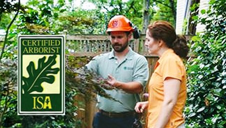 Photo of AAA Tree Experts