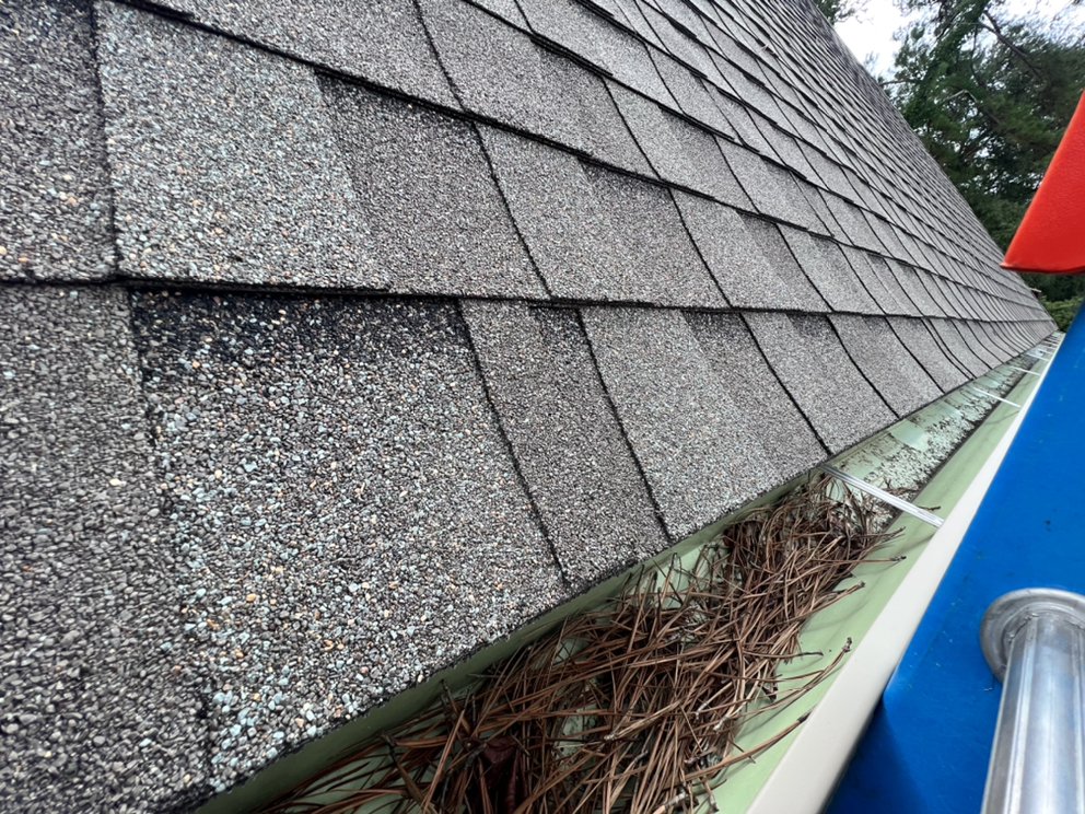 Photo of Window Genie of SE Cypress and W Spring