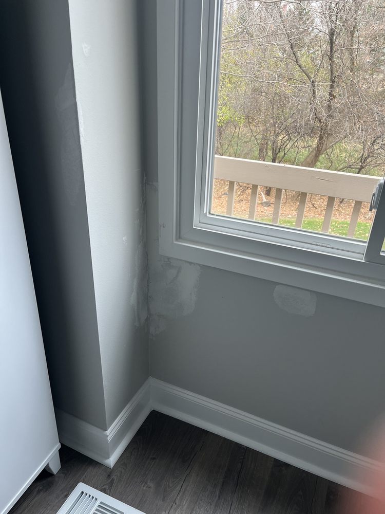 Photo of Pro Nino's Painting