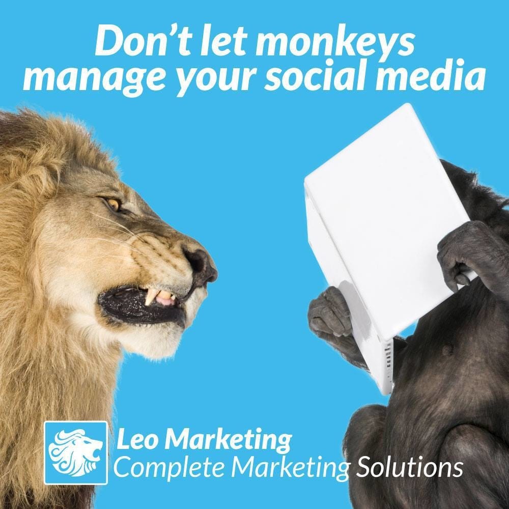 Photo of Leo Marketing
