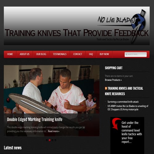 Photo of Website Designs of Virginia Beach