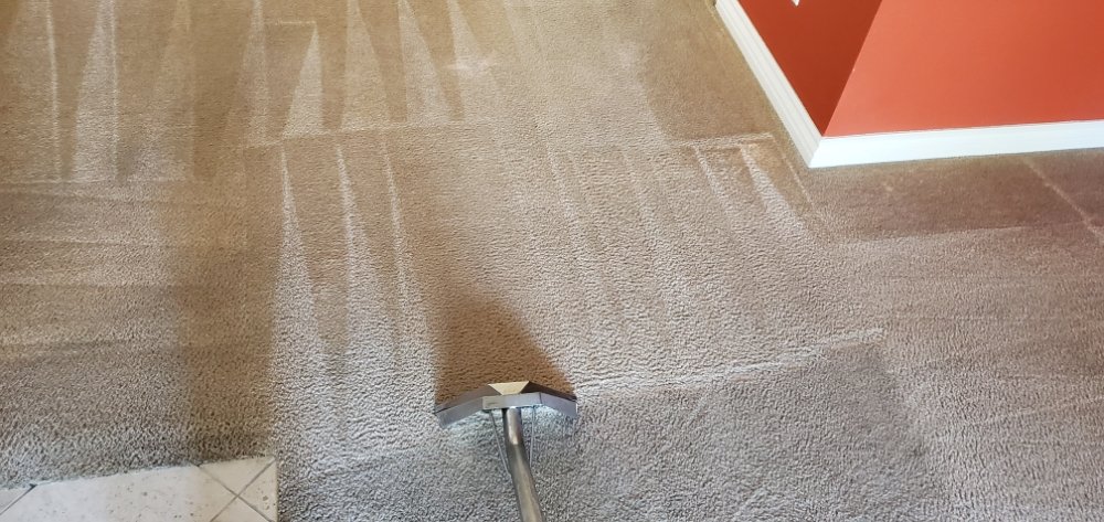 Photo of AL Cleaning Services