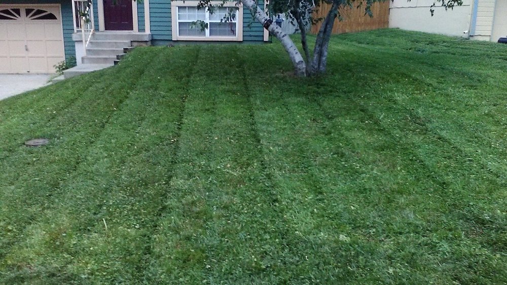 Photo of 2 Things Lawn Care