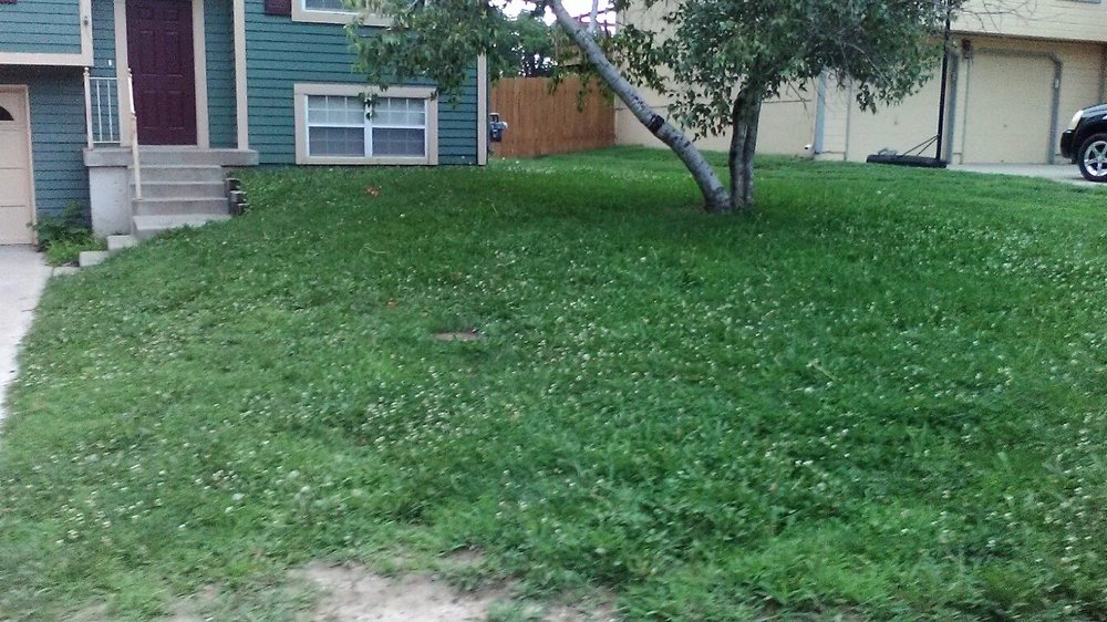 Photo of 2 Things Lawn Care