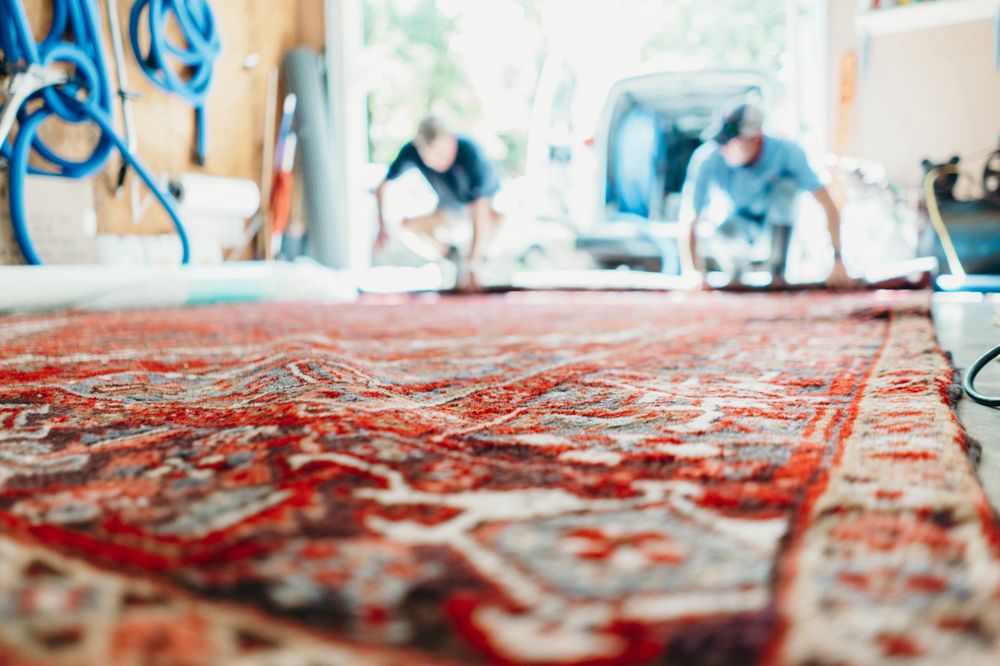 Photo of All Kleen Carpet Cleaning