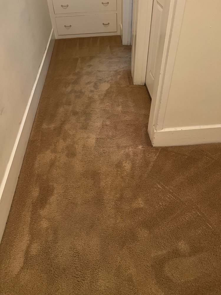 Photo of Trojan Carpet Care