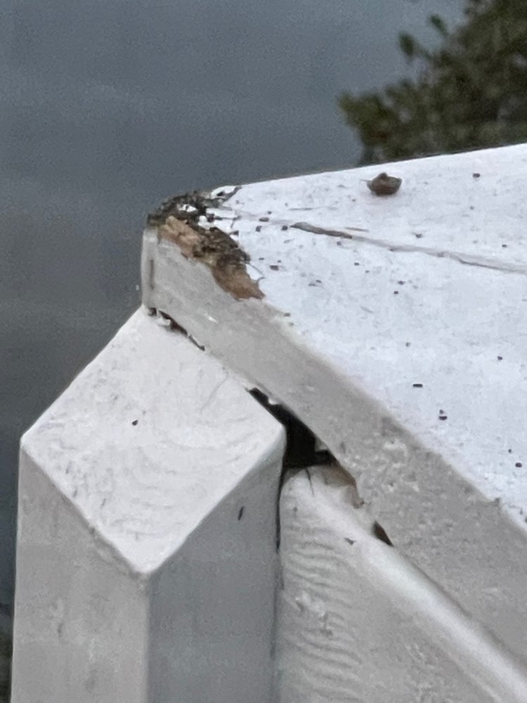 Photo of Roof US