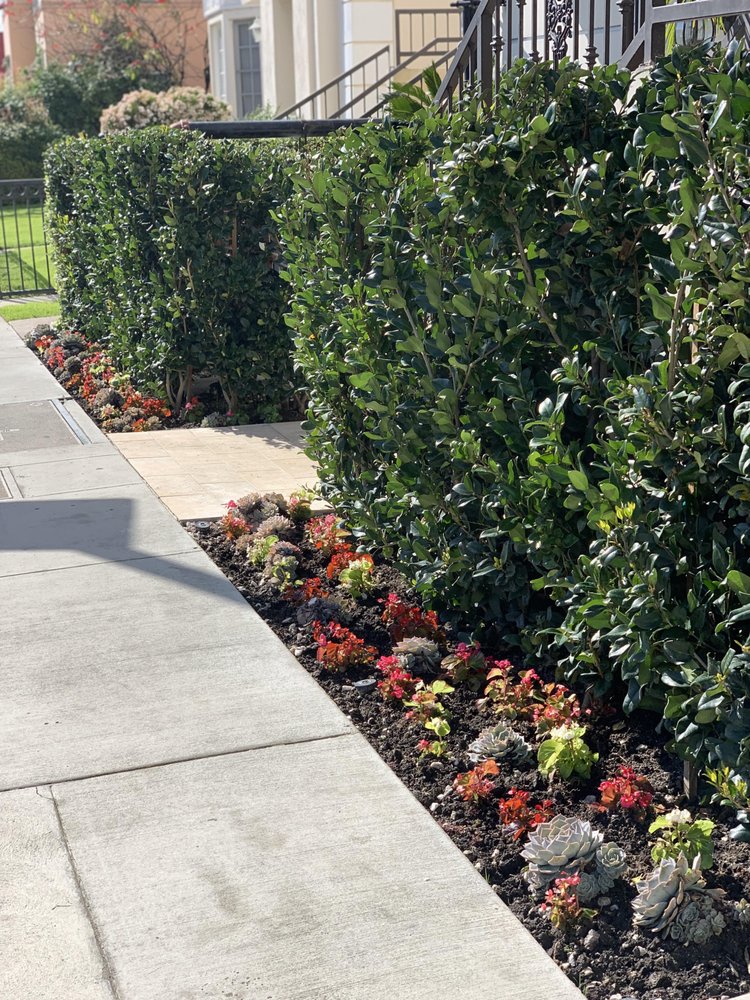 Photo of Tree Breeze Landscaping