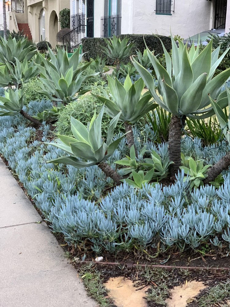 Photo of Tree Breeze Landscaping
