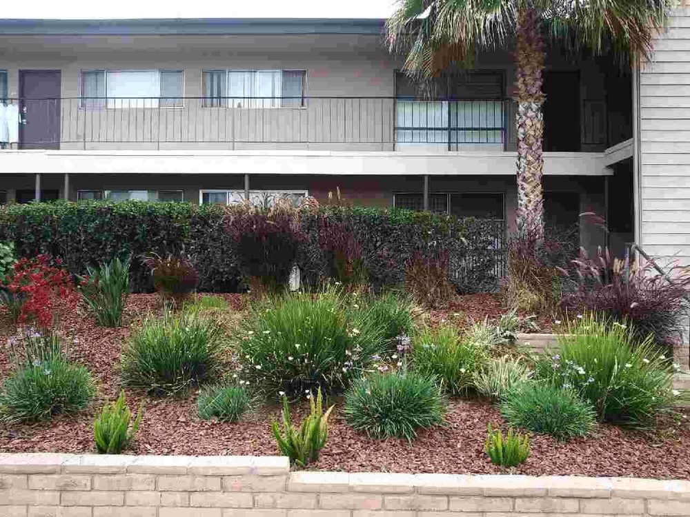 Photo of Tree Breeze Landscaping