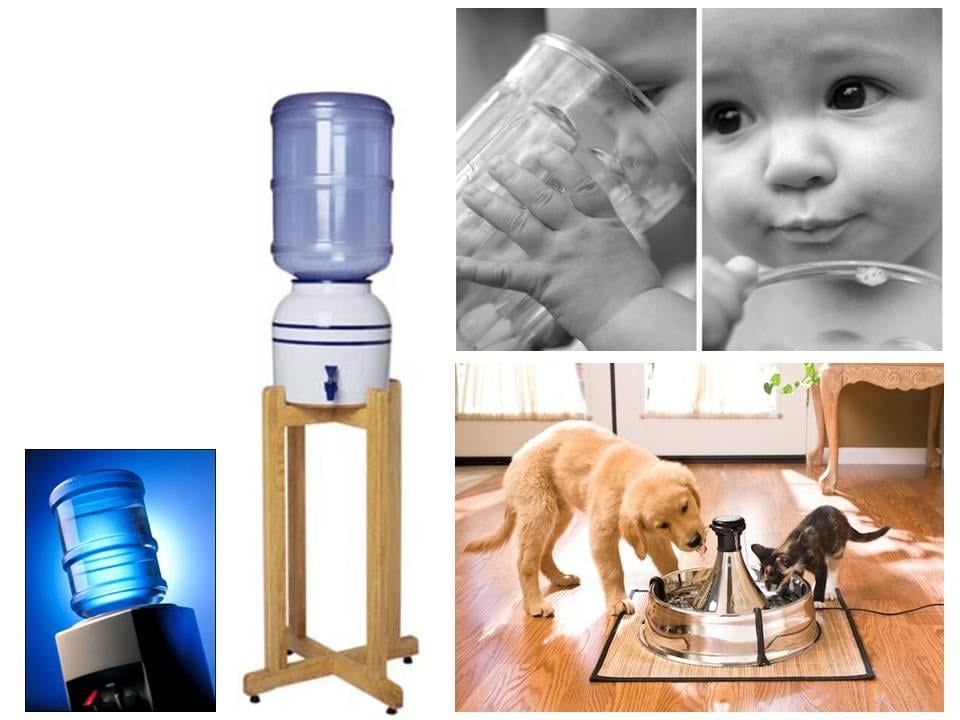 Photo of Purified Water To Go