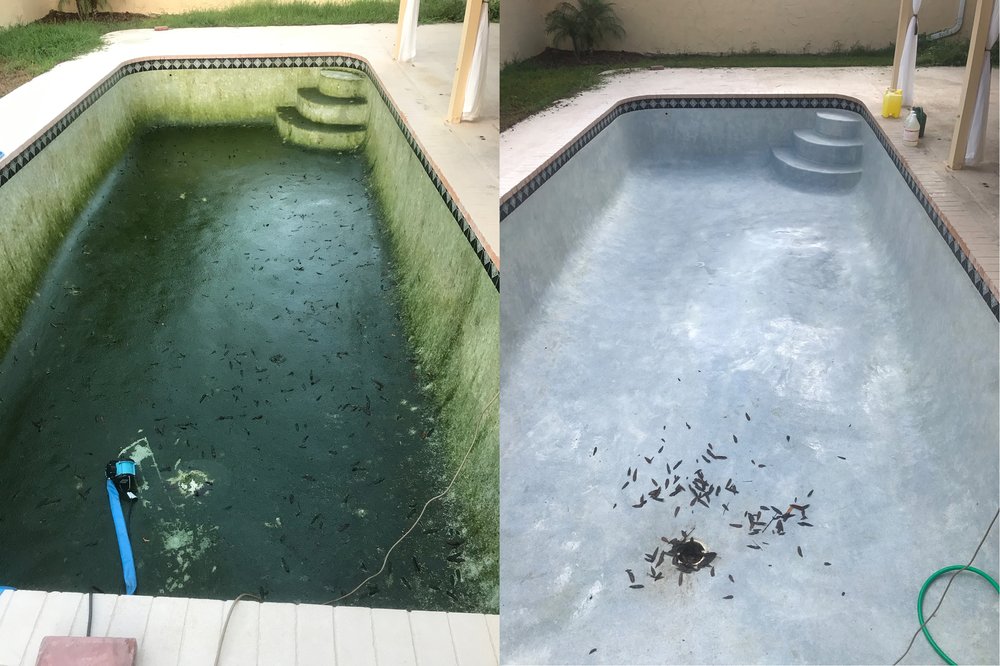 Photo of Total Cleaning Pool Maintenance and Repair