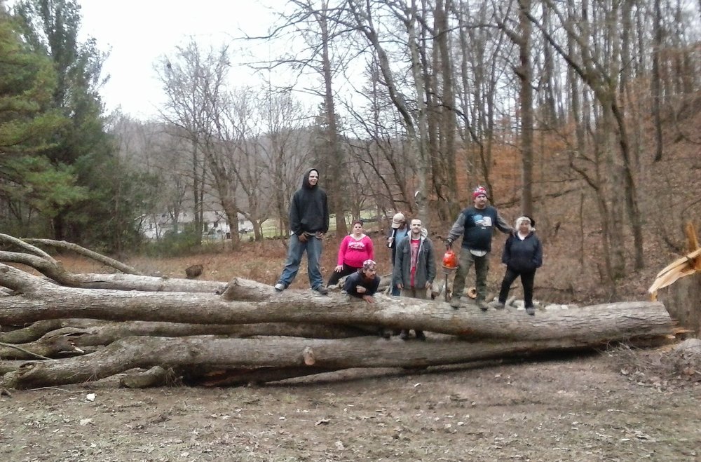 Photo of AB American Tree Services
