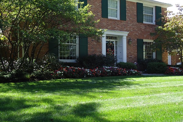 Photo of Classic Design Lawn and Landscaping