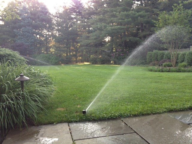 Photo of Classic Design Lawn and Landscaping