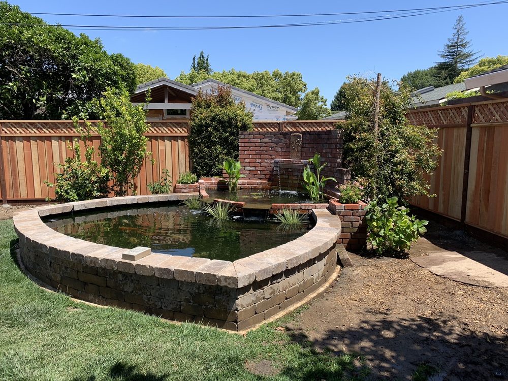 Photo of Bay Area Koi Ponds