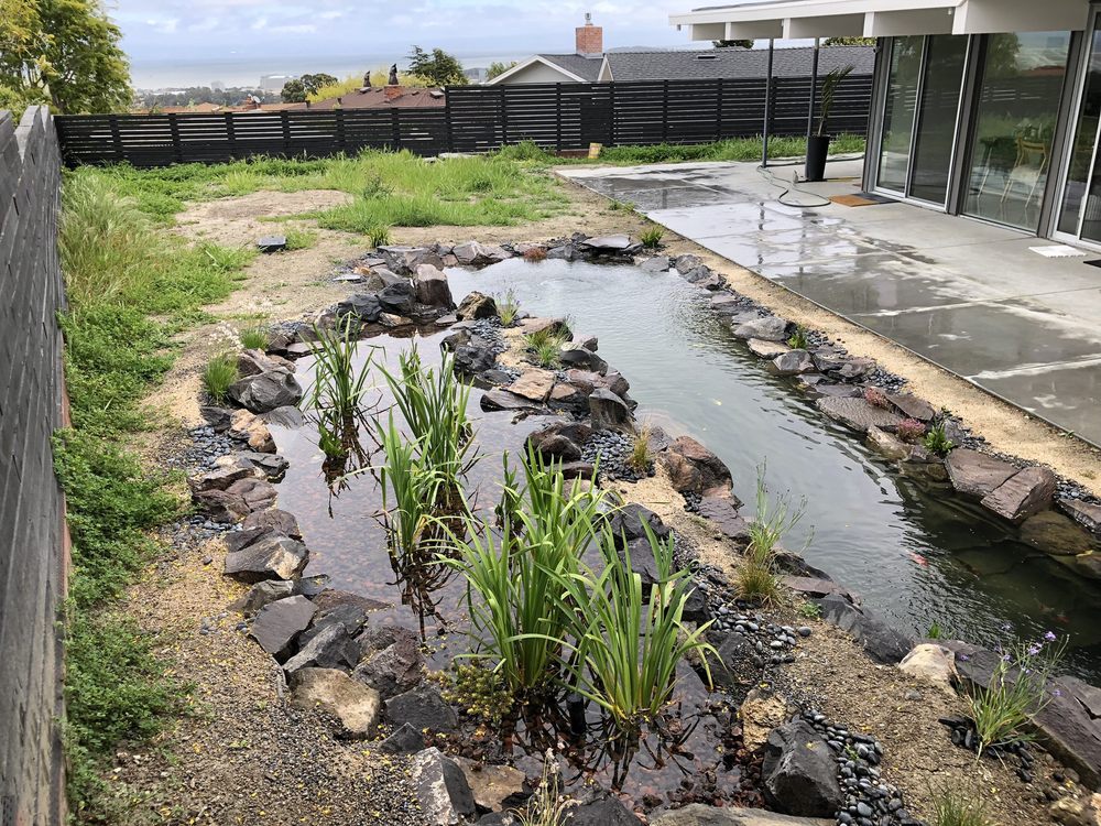 Photo of Bay Area Koi Ponds