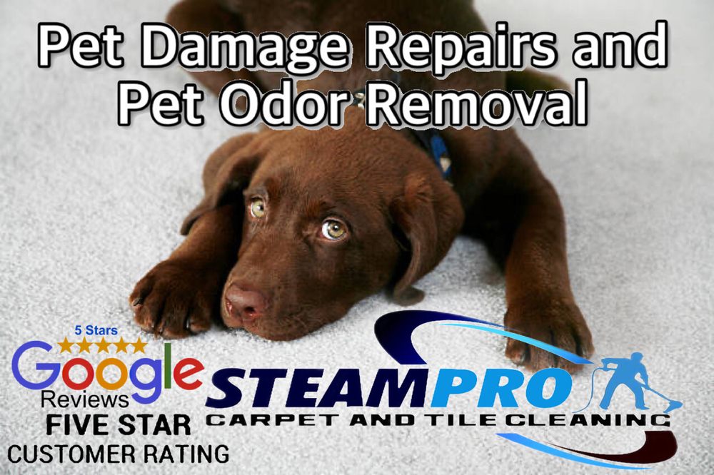 Photo of Steampro Carpet & Tile Cleaning