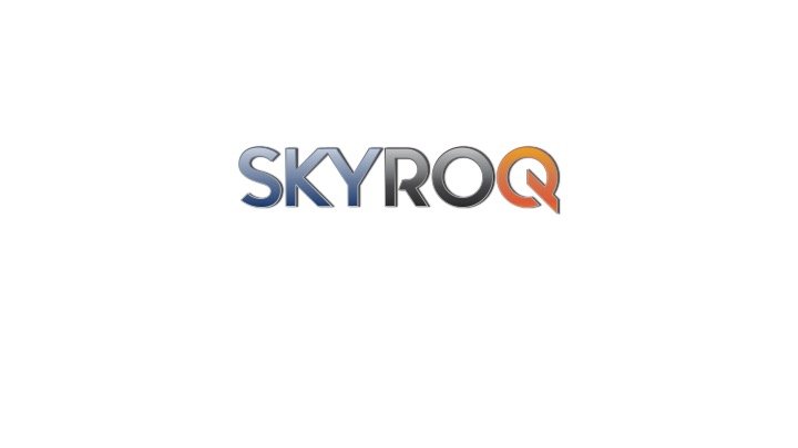 Photo of SKYROQ Consulting