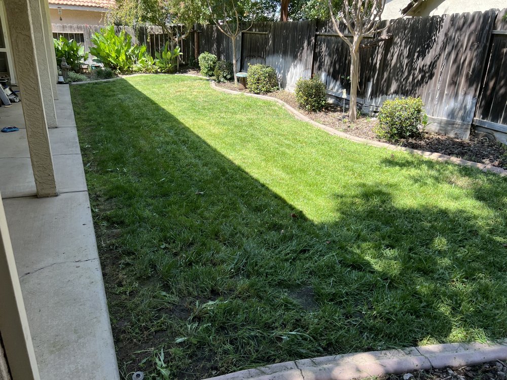 Photo of Gorilla Lawn & Landscape Care