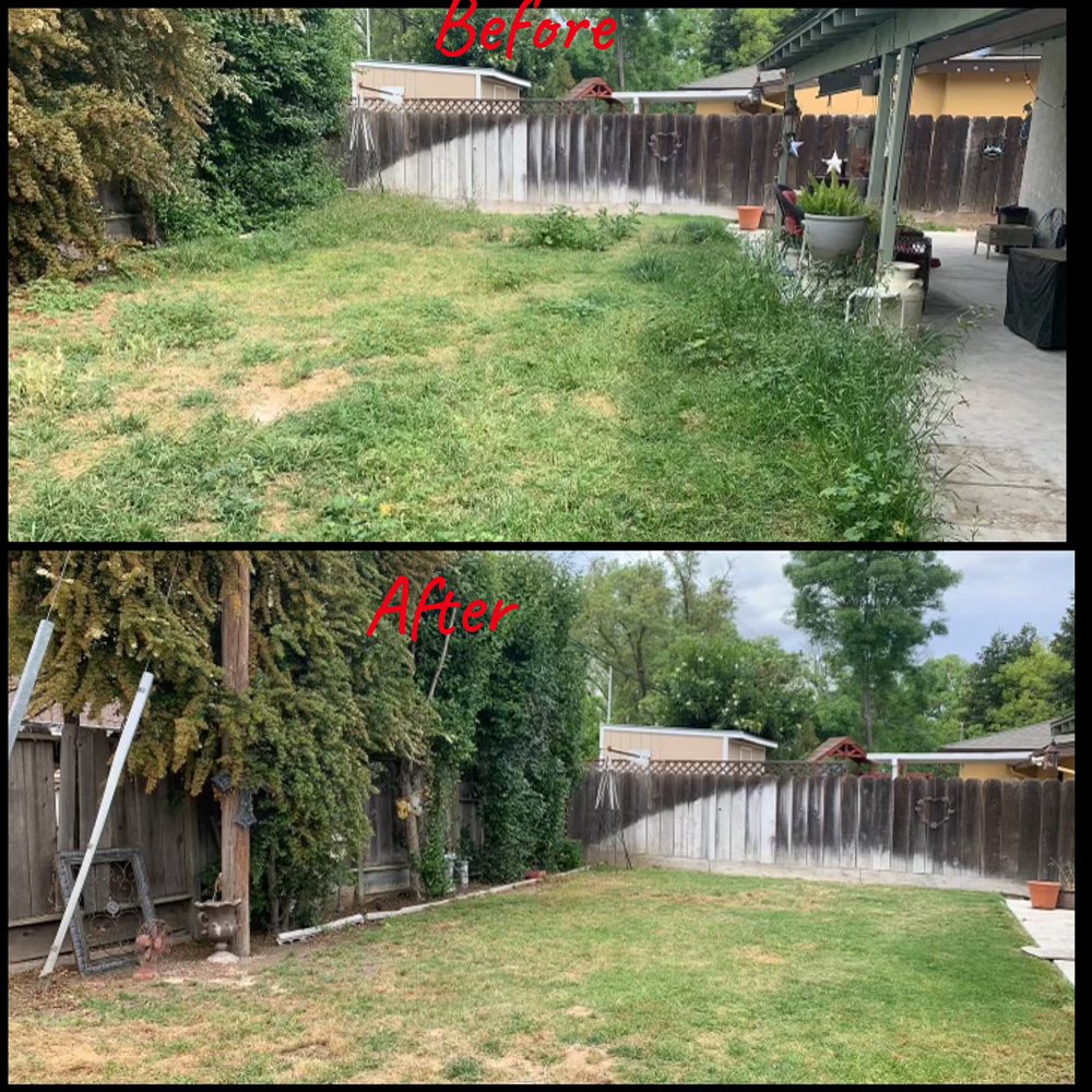 Photo of Gorilla Lawn & Landscape Care