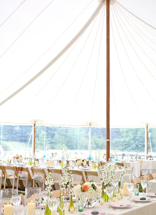 Photo of Natalie Trento Events