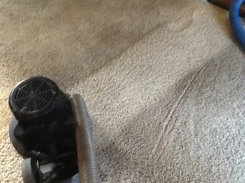 Photo of A+ Carpet Cleaning