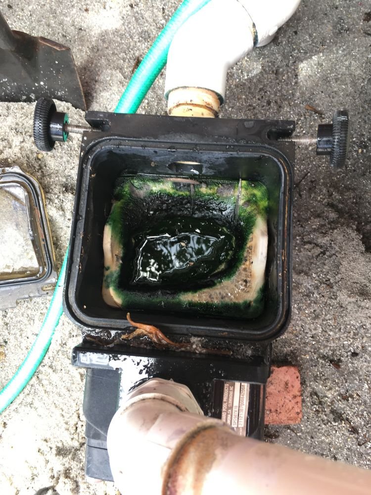 Photo of BestBank Pools Cleaning and Maintenance