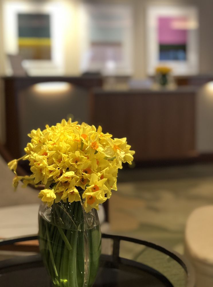 Photo of Seaport Boston Hotel