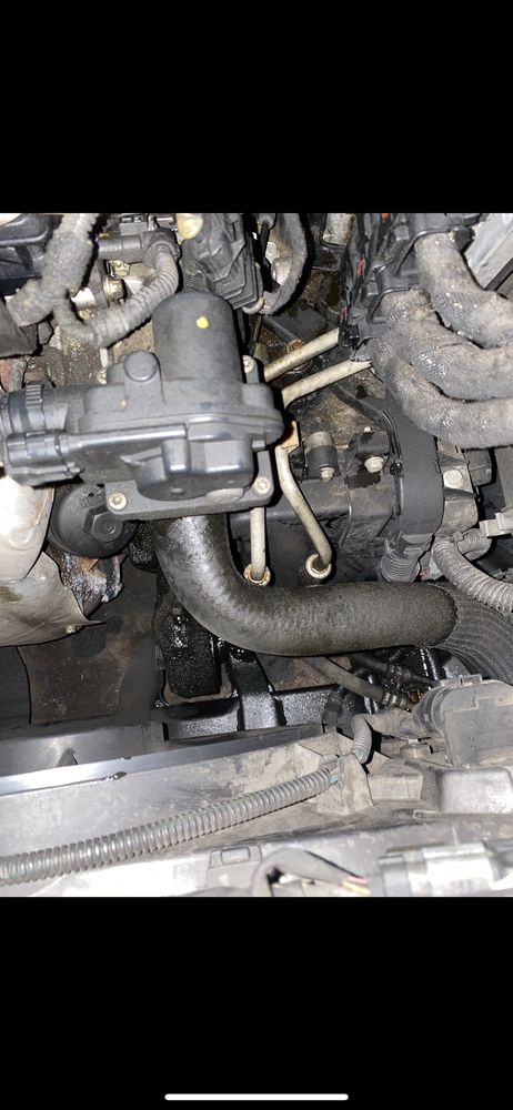Photo of San Jose Auto Steam Cleaning