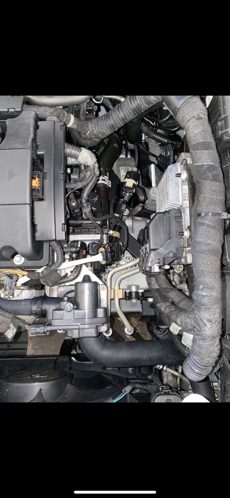 Photo of San Jose Auto Steam Cleaning